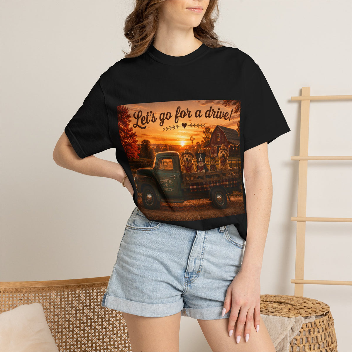 Let's Go for a Drive! | Barn Buddies™ Country Roads T-Shirt | Funny Dog & Cat Fall Shirt | Vintage Farmhouse Autumn Tee